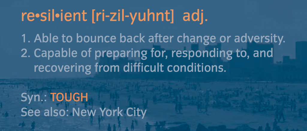 SIRR PlaNYC Resilient Definition
